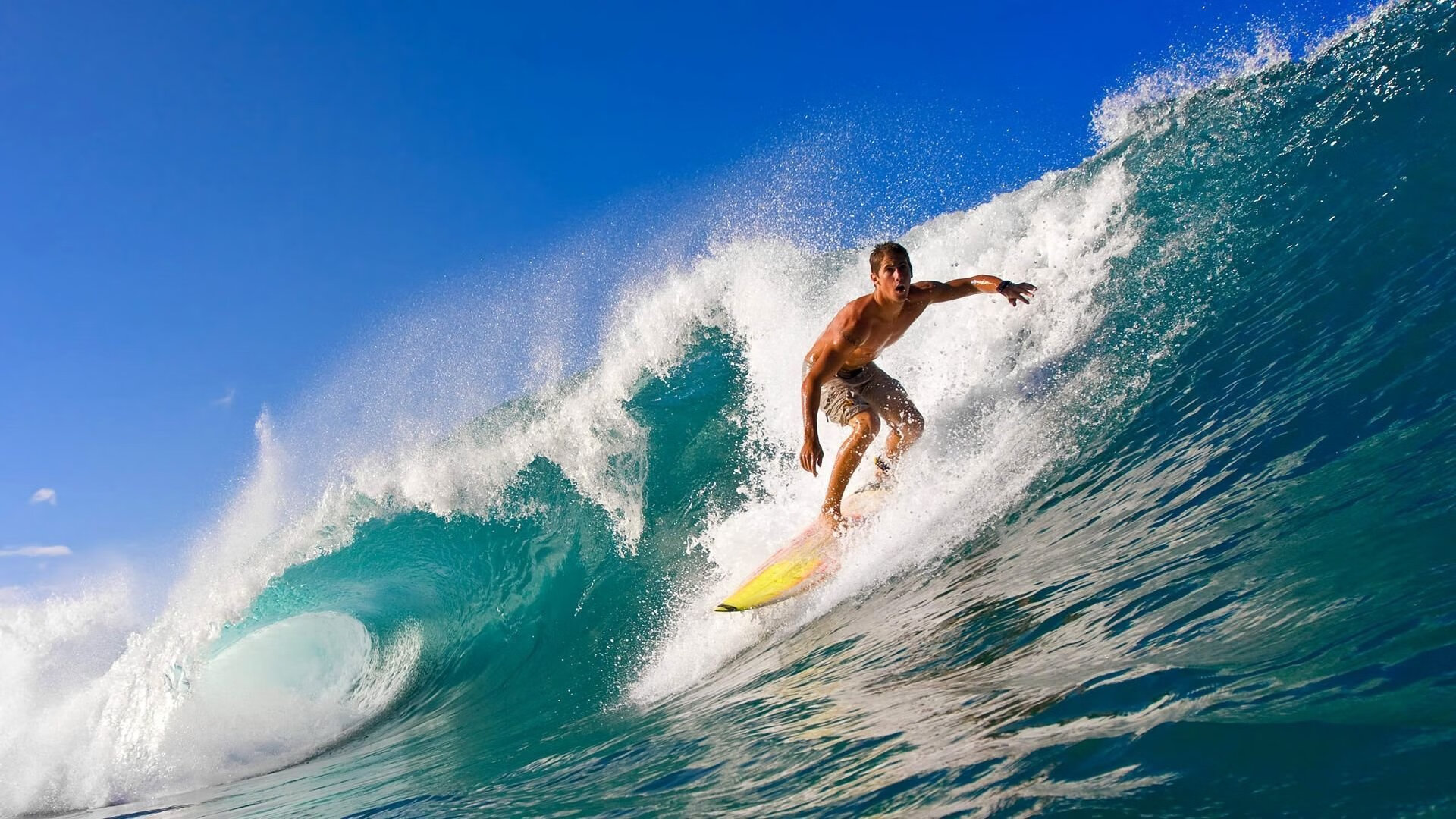 电竞赛事中公平竞技环境的维护与反作弊技术的应用,电竞公平原则